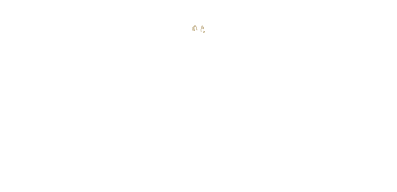 universidad_paramenicana